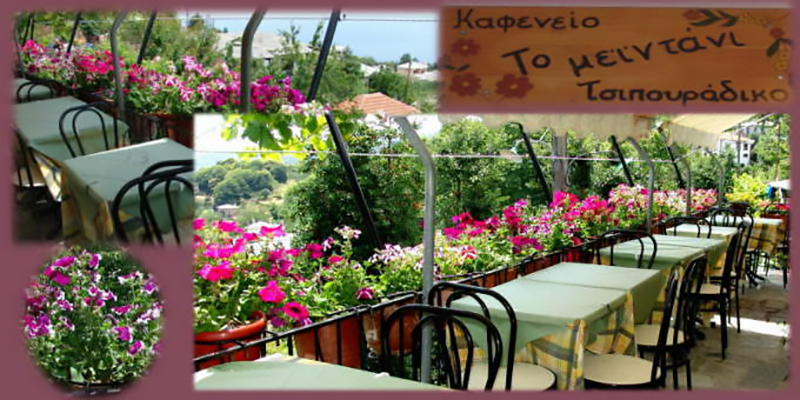 Μειντάνι Ζαγορά