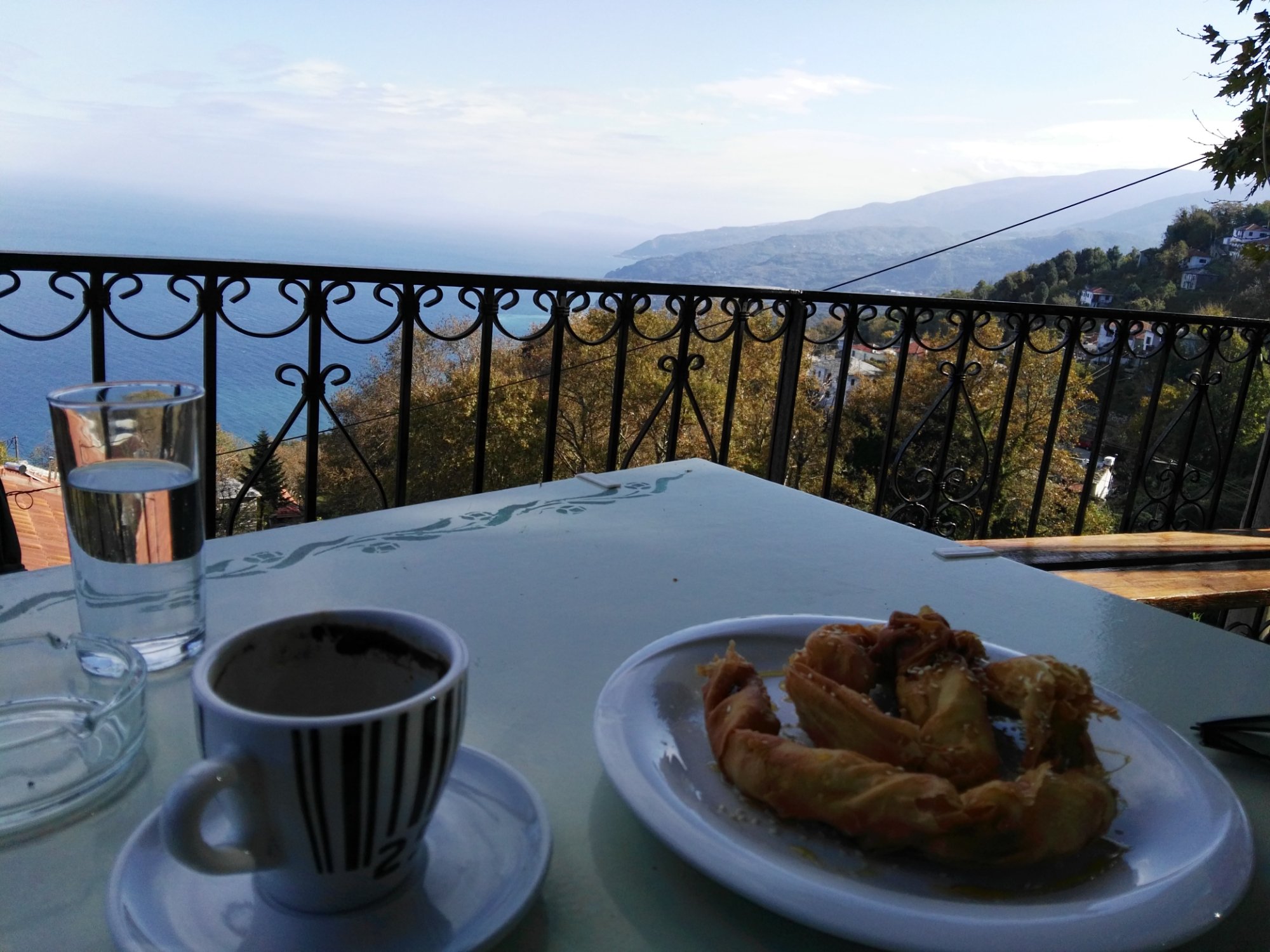 Πολύδροσο Πουρί